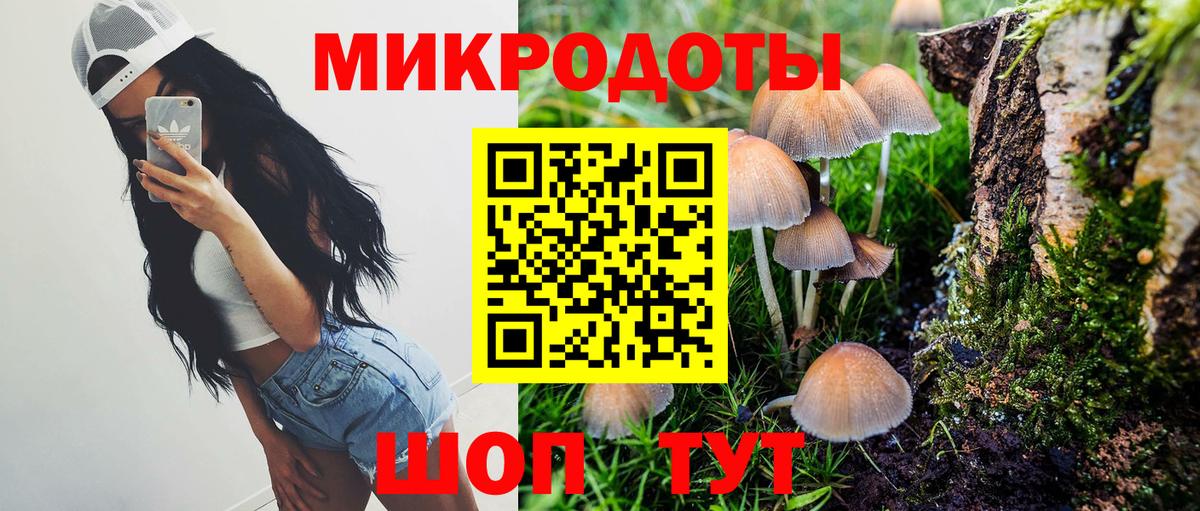 Галлюциногенные грибы Cubensis  Галлюциногенные грибы GOLDEN TEACHER  Вход с VPN  Амурск 